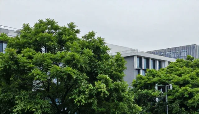 小程序商城性能问题处理方向及适用条件